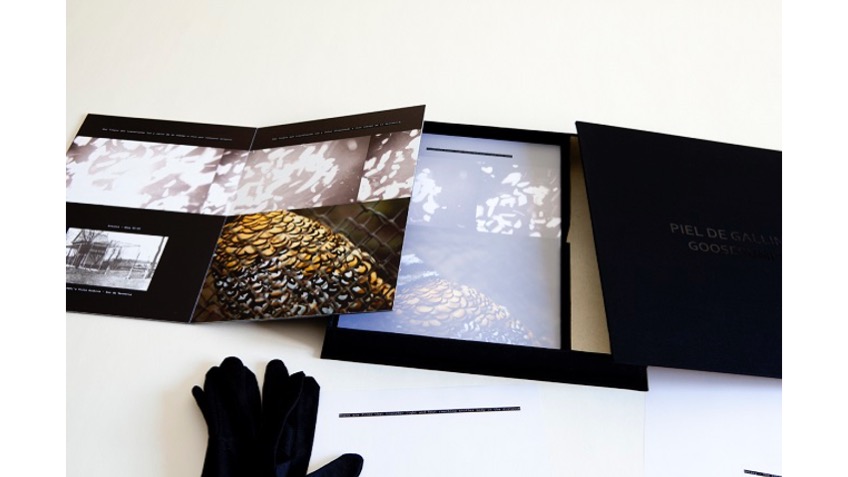 Vista de la pieza "Piel de Gallina", 2018. Libro de artista: caja negra. 27 x 20 cm.Edición de 2 + 1 AP.