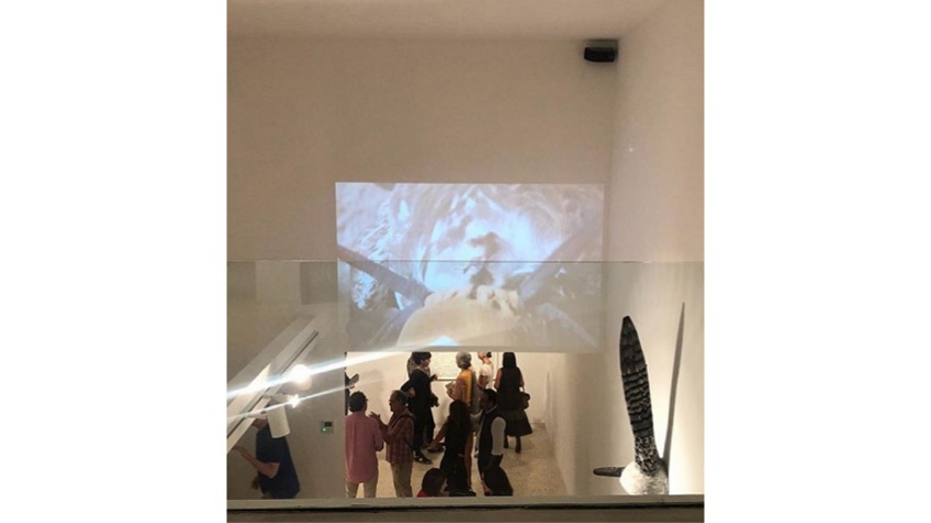 Installation view "The Mirror Rule"", first part of the Bombed Zoos project, at Freijo Gallery in 2018.