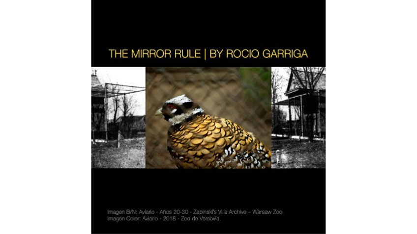 Invitation to the opening of the exhibition  "The Mirror Rule" at Freijo Gallery in 2018.