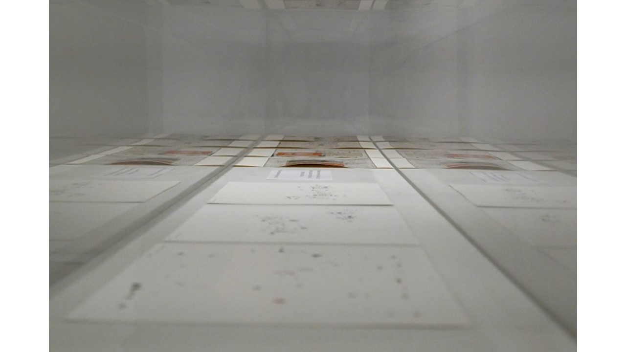 Vista de la vitrina de la exposición "Archivos cromáticos. Obra reciente de Enrique Brinkmann"