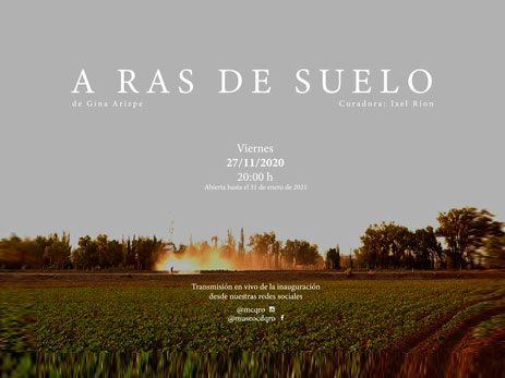 Gina Arizpe | Exposición individual en el Museo de la Ciudad de Querétaro
