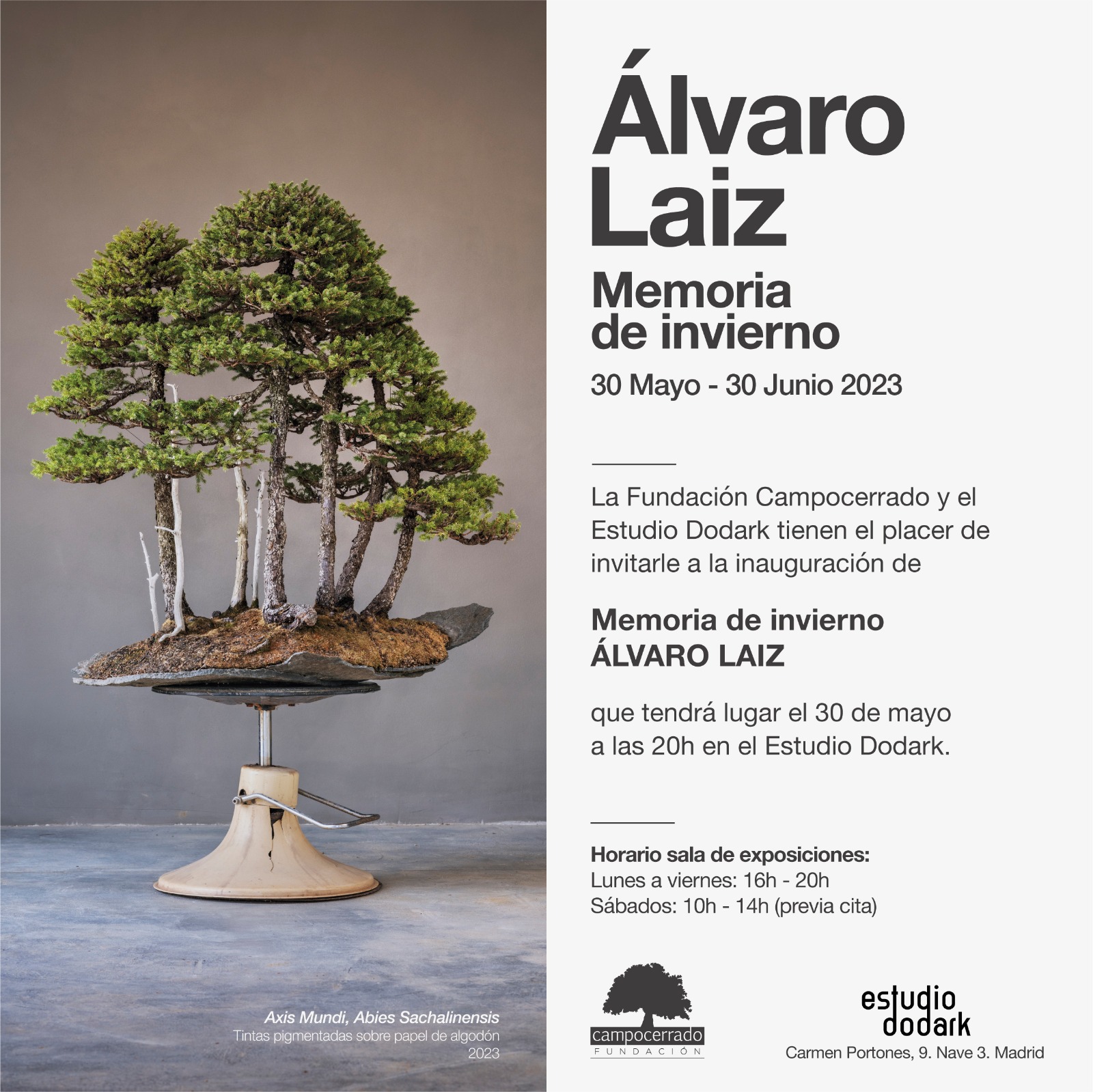 Álvaro Laíz exhibits the project "Memoria de invierno", first grant awarded by the Campocerrado Foundation.
