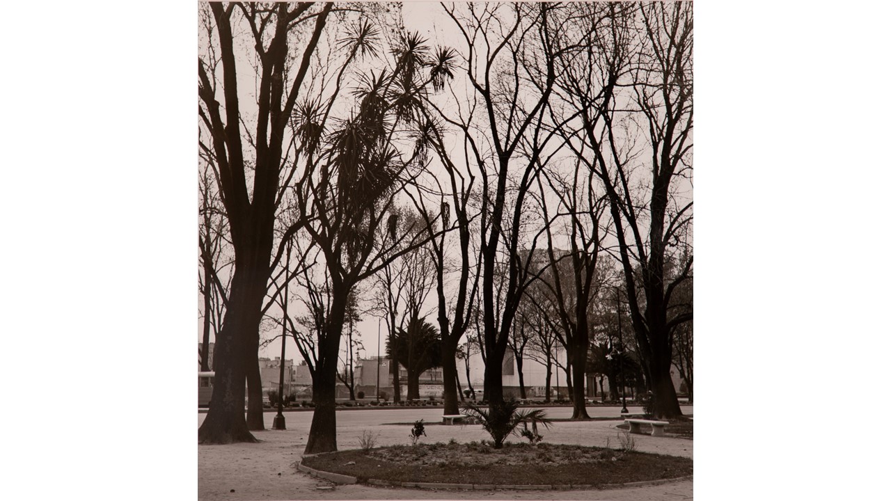 Roberto Fernández Balbuena. Parque, ca. 1950
49,5 x 47,5cm. Gelatinobromuro de plata.