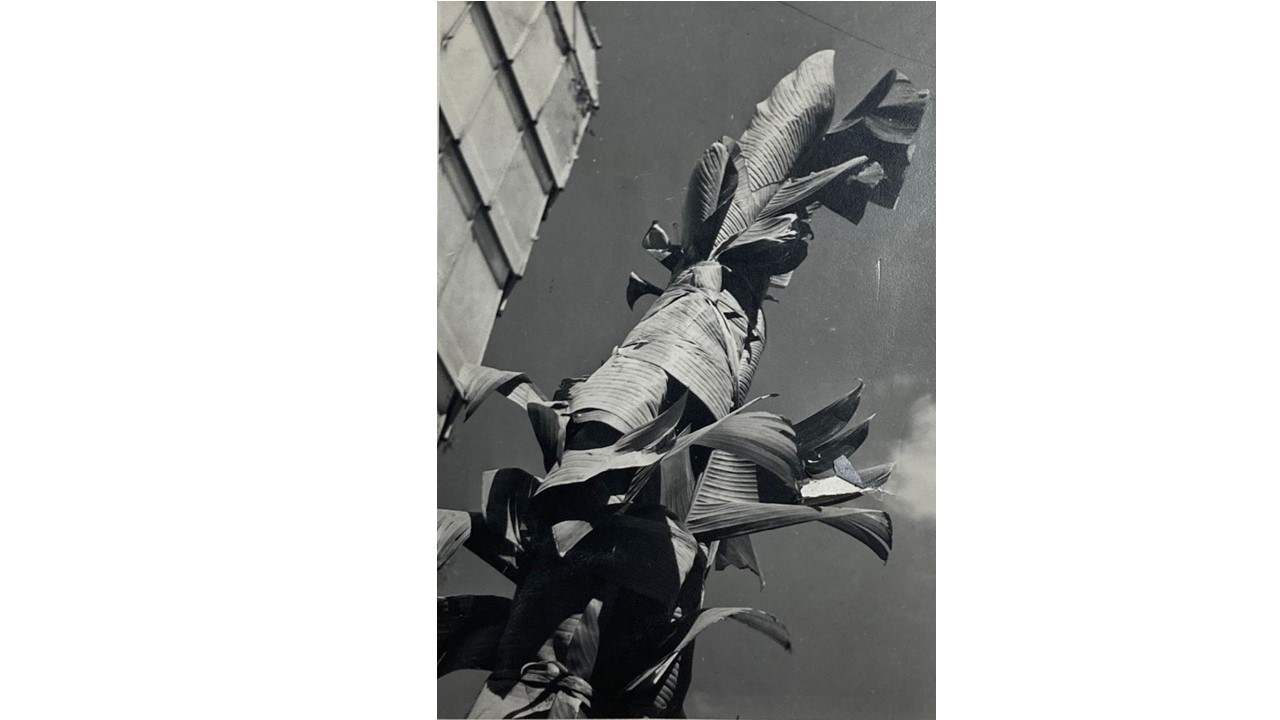 Roberto Fernández Balbuena. Vintage photograph. Ca.1950. 17 x 12 cm