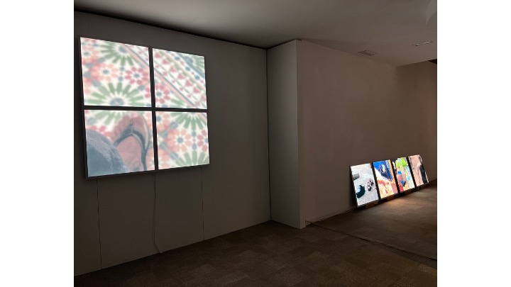 Installation view.