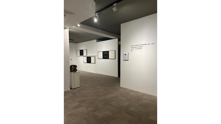 Installation view