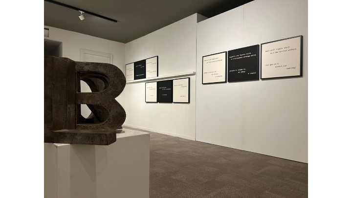 Installation view