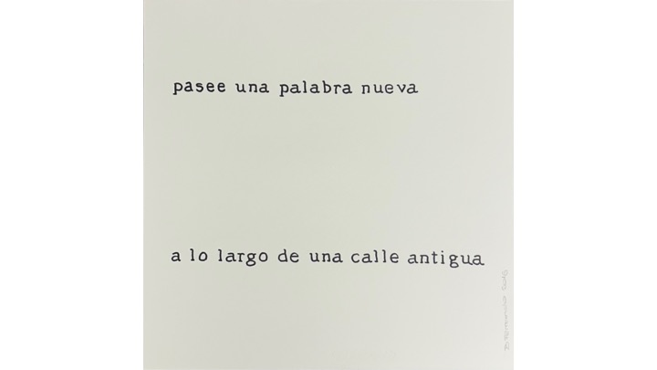 Pasee una palabra nueva, 1988-2016 .  50 x 50 cm.