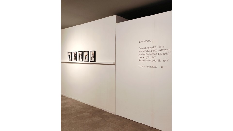 Installation view at the LZ46 program of Freijo Gallery (Zurbano 46)