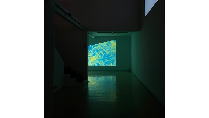 Installation view.