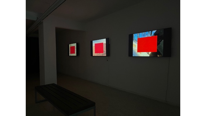 Installation view.