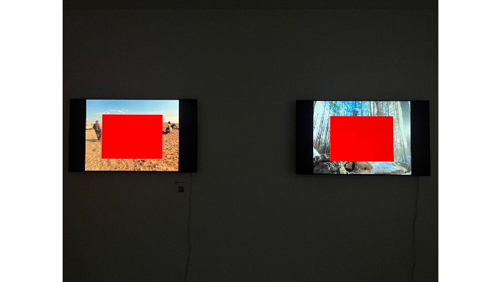 Installation view.